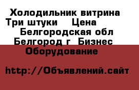 Холодильник-витрина. Три штуки. › Цена ­ 14 000 - Белгородская обл., Белгород г. Бизнес » Оборудование   